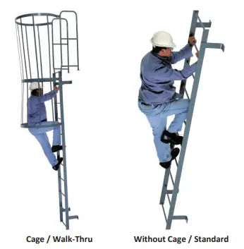 Fixed Steel Ladder